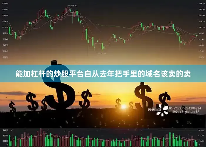 能加杠杆的炒股平台自从去年把手里的域名该卖的卖
